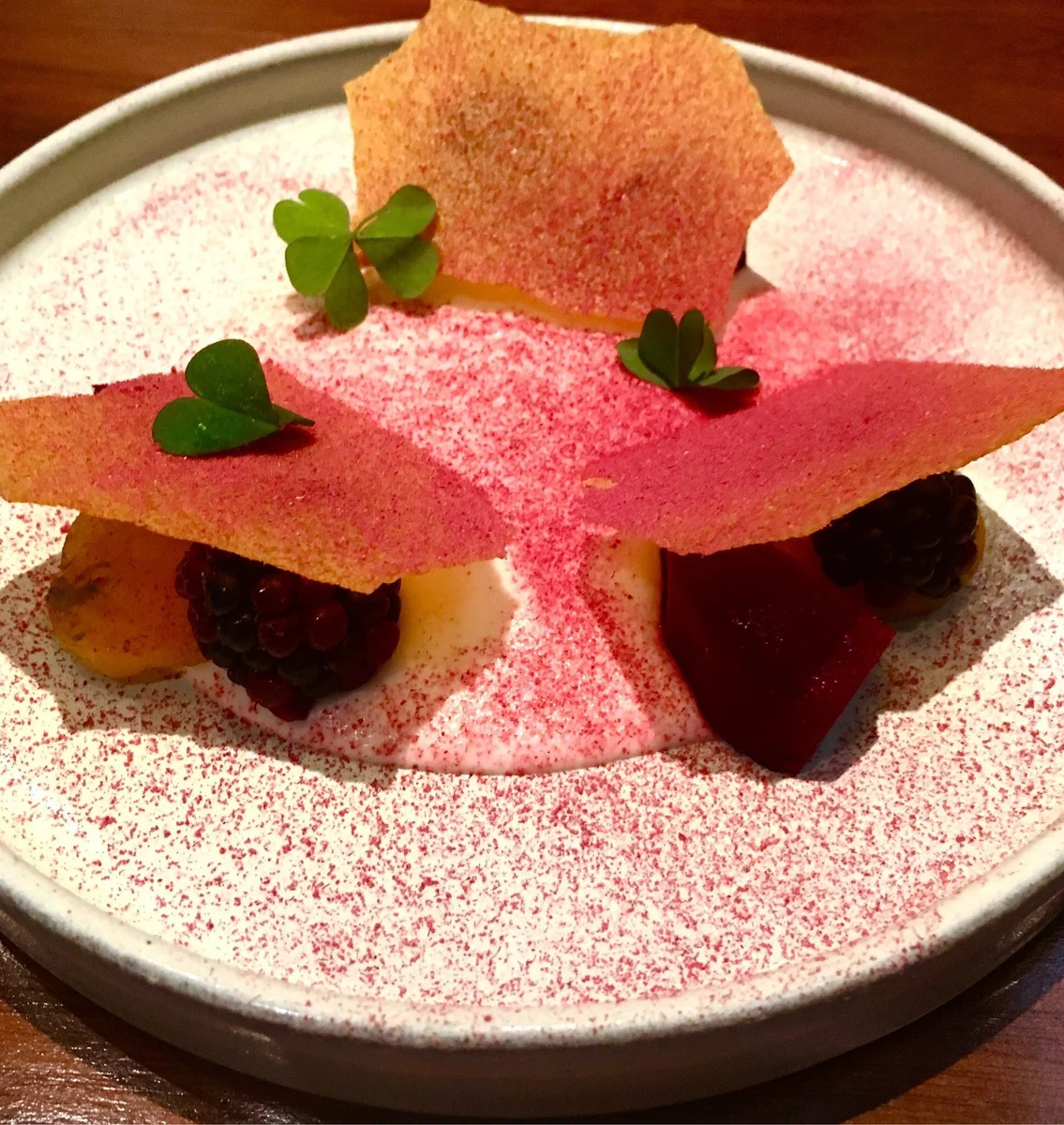 A course from the seasonal tasting menu — vegetables and mushrooms transformed into art